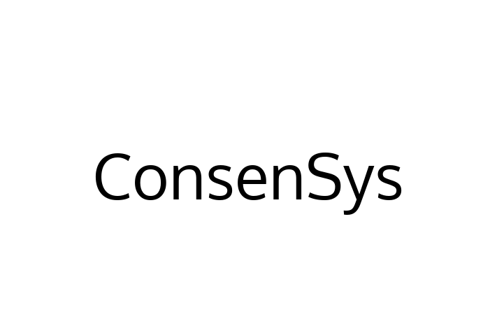 Software Engineering Company ConsenSys