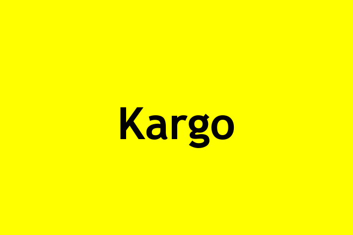 Talent Management Kargo