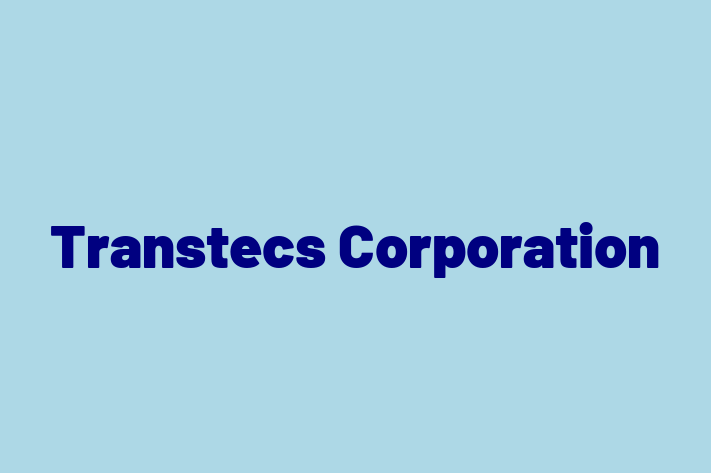 IT Company Transtecs Corporation