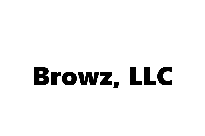 Software Services Company Browz LLC