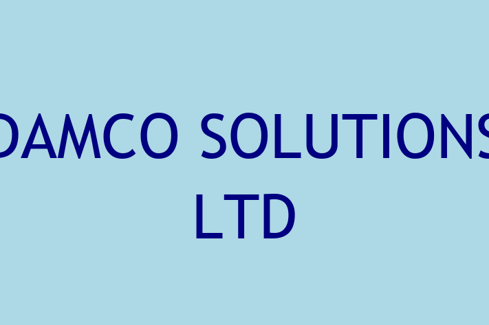 IT Company DAMCO SOLUTIONS LTD