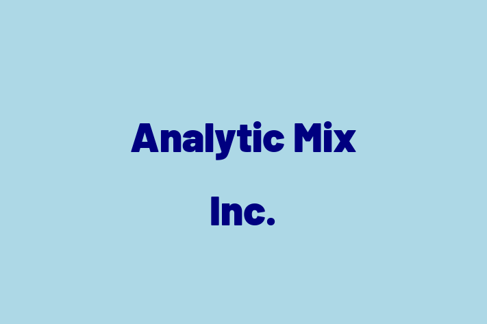 Software Firm Analytic Mix Inc.