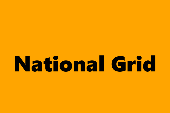 Human Capital Management National Grid