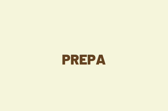 Application Development Company PREPA