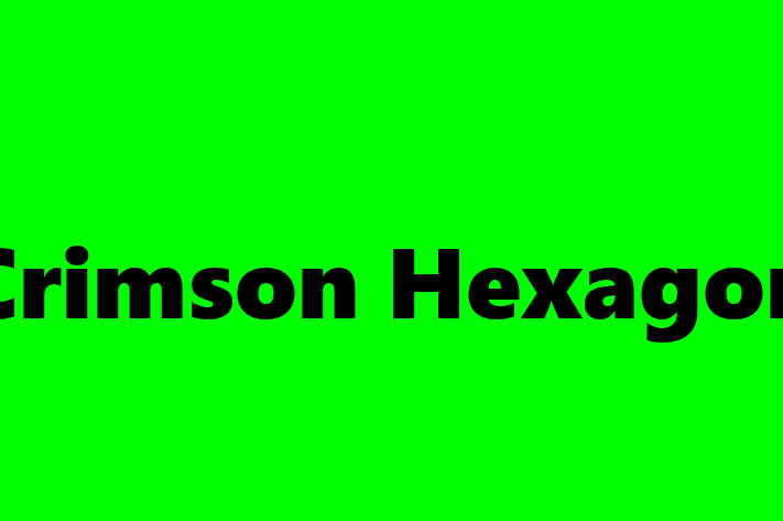 Software Solutions Provider Crimson Hexagon