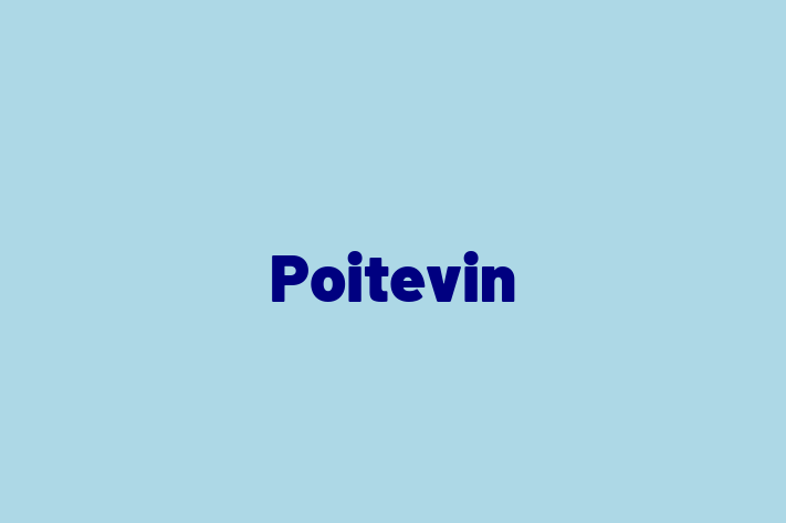 Poitevin Dog Available Now in Miami