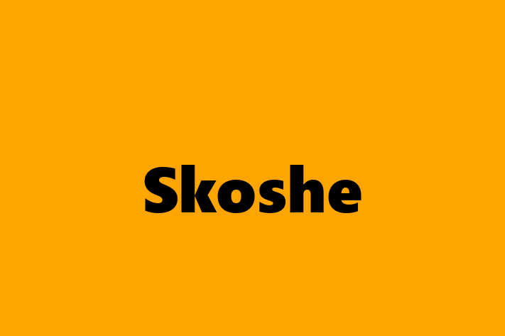 Digital Solutions Provider Skoshe