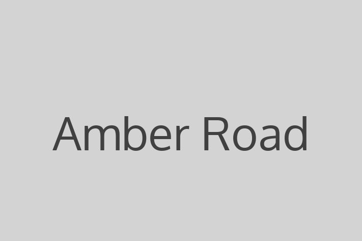 Software Services Company Amber Road