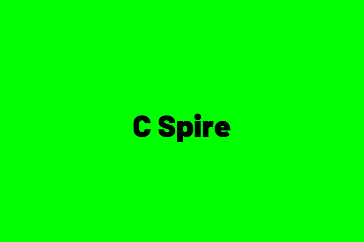 Technology Solutions Firm C Spire