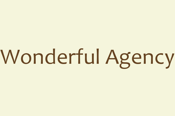 Software Engineering Company Wonderful Agency