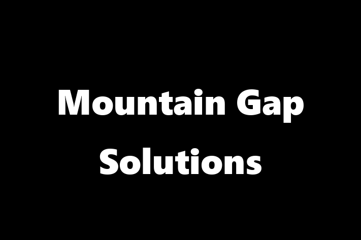 Tech Firm Mountain Gap Solutions