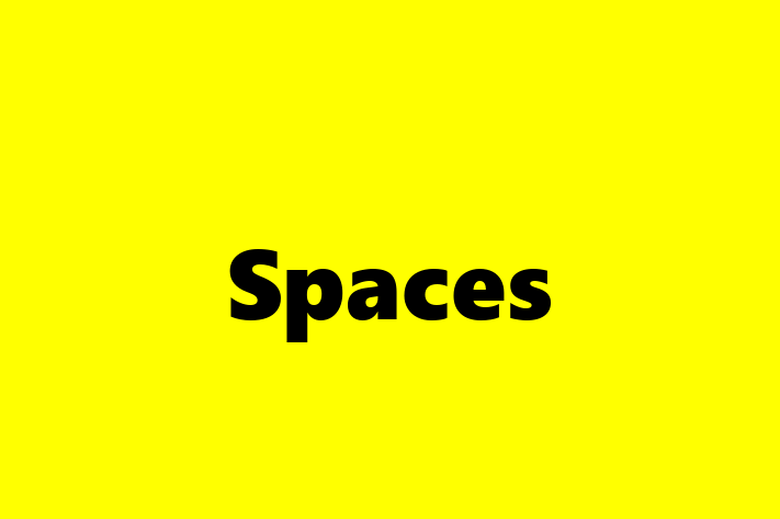 Software Firm Spaces