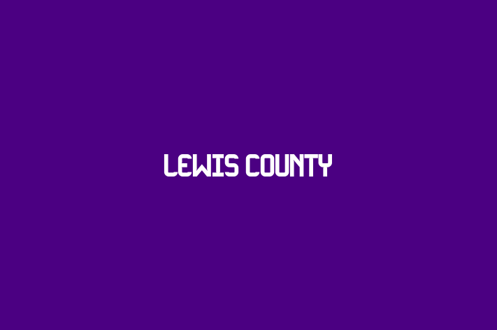 Employee Relations Lewis County