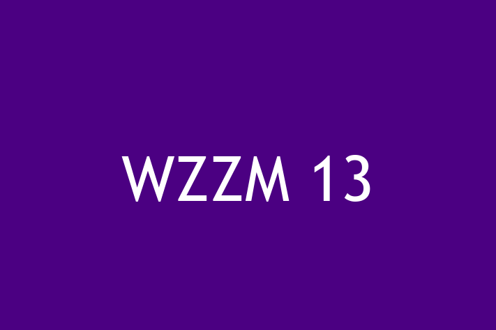 Software Solutions Provider WZZM 13