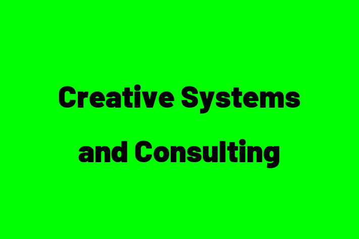 Tech Firm Creative Systems and Consulting