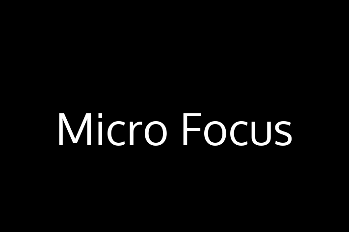 Software Consultancy Micro Focus