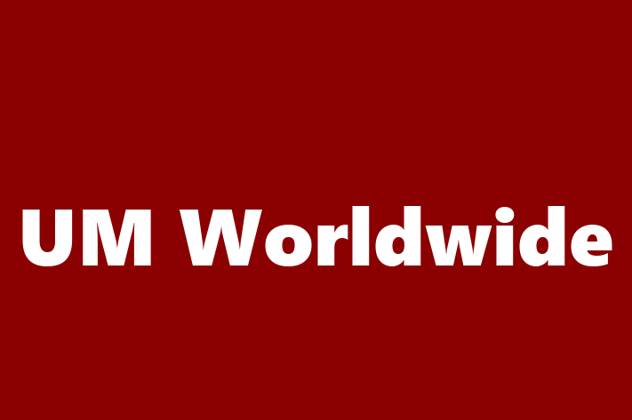 Tech Solutions Company UM Worldwide