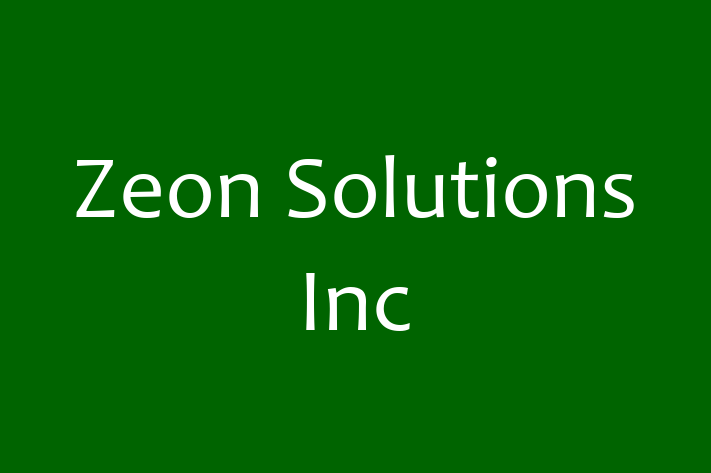 Technology Solutions Firm Zeon Solutions Inc