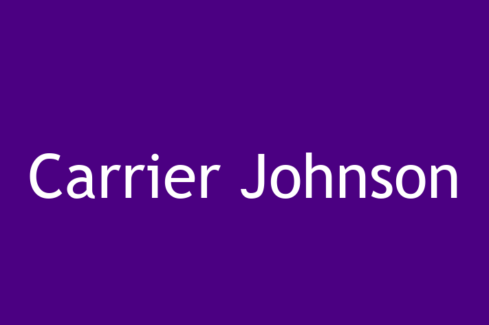 Architect planner Carrier Johnson