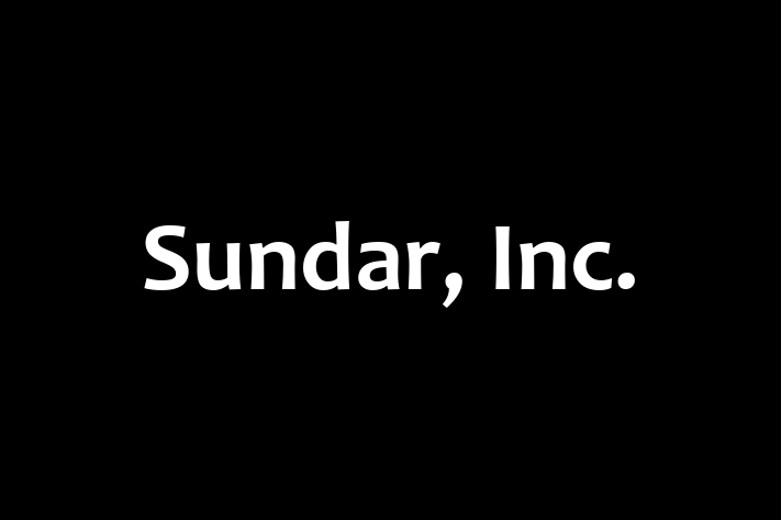 Technology Solutions Firm Sundar Inc.