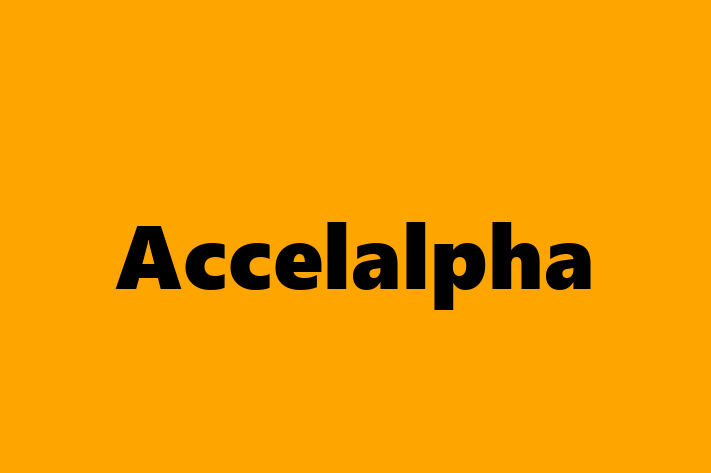 People Management Accelalpha