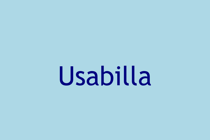 Software Development Company Usabilla