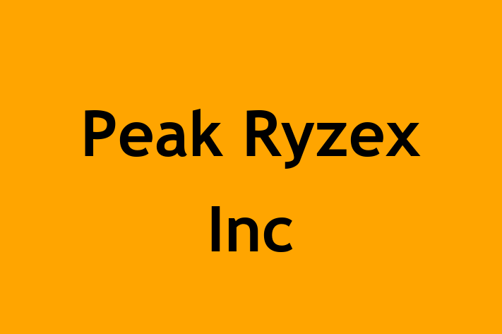 Software Consultancy Peak Ryzex Inc