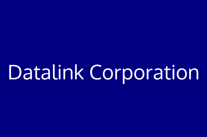 IT Company Datalink Corporation