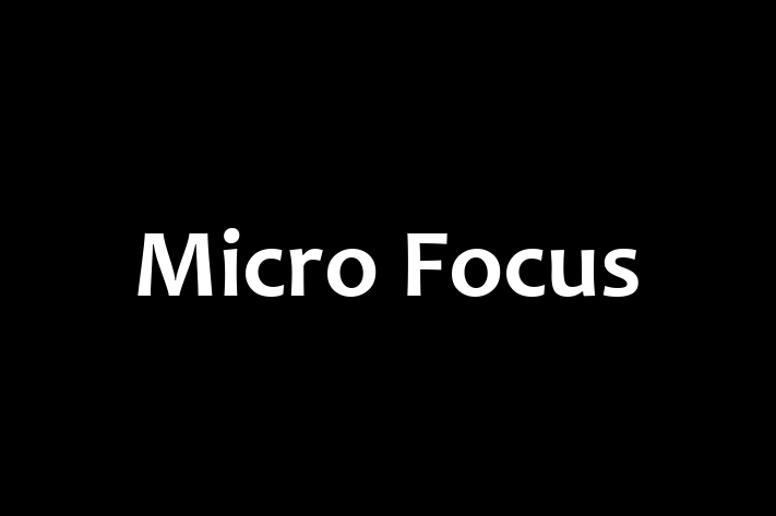 Software Solutions Provider Micro Focus