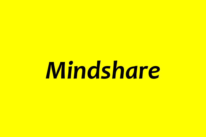 Application Development Company Mindshare