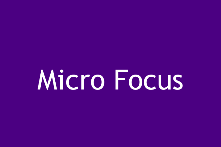 Software Development Firm Micro Focus