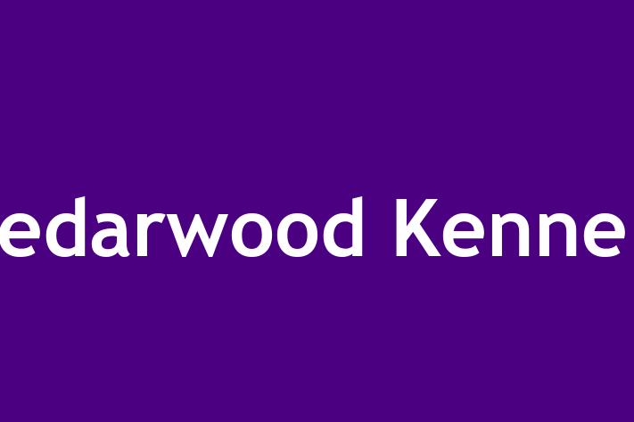 People Management Cedarwood Kennels