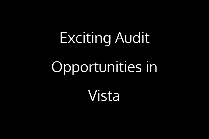 Exciting Audit Opportunities in Vista