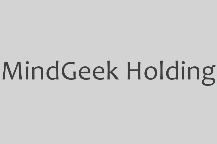 Tech Solutions Company MindGeek Holding