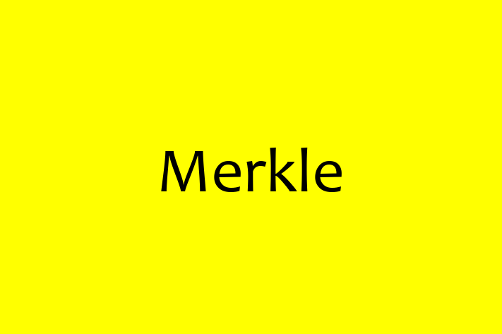 Software Solutions Provider Merkle