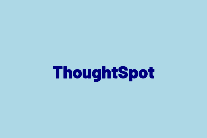 Application Development Company ThoughtSpot