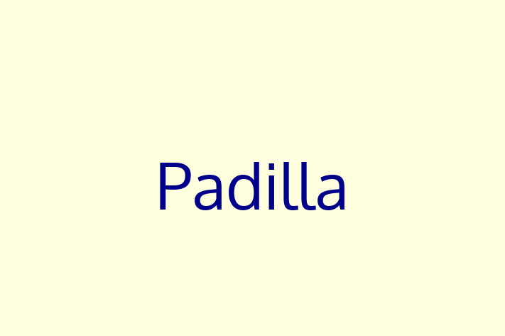 IT Company Padilla