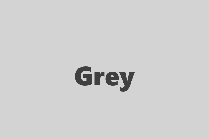 Tech Firm Grey