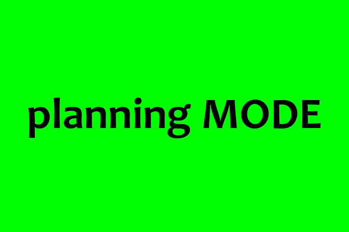 Software Solutions Provider planning MODE