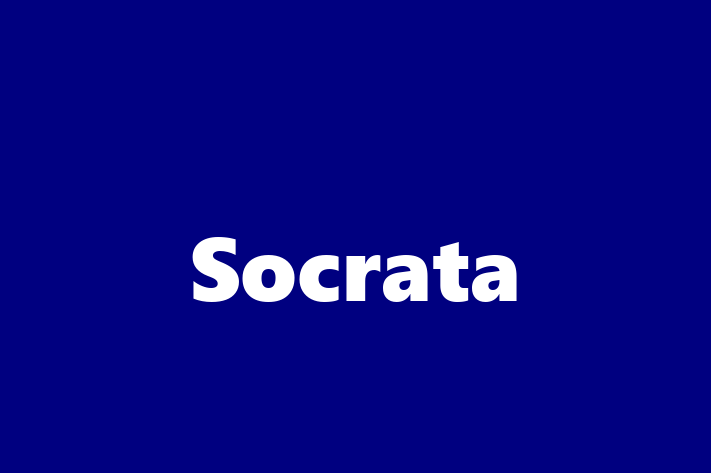 Software Consultancy Socrata