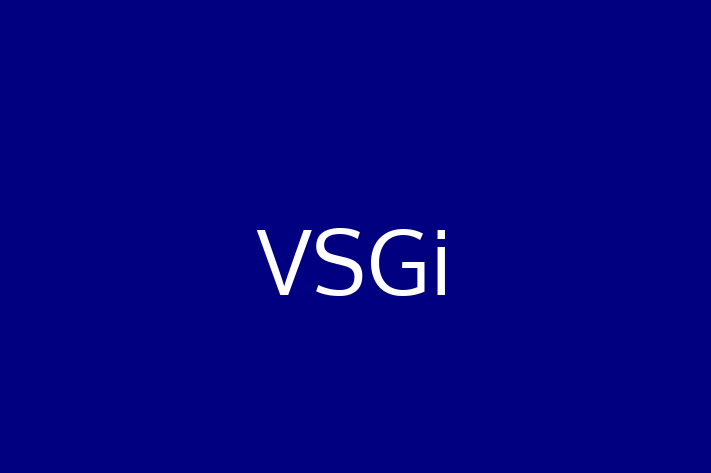 Software Solutions Provider VSGi