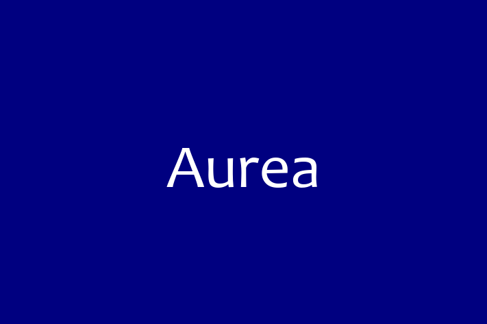 Software Solutions Provider Aurea