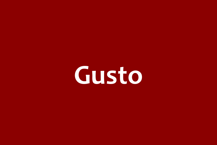 Technology Solutions Firm Gusto