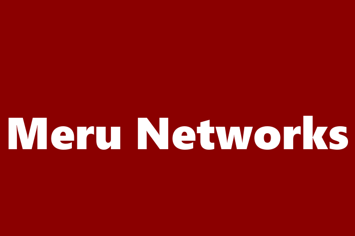 Technology Company Meru Networks