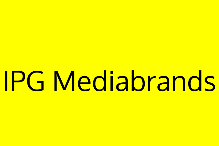 Software Engineering Company IPG Mediabrands