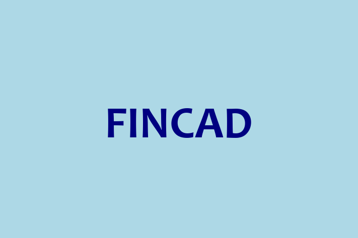 IT Company FINCAD