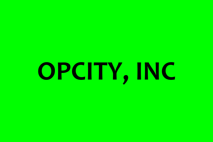 Digital Solutions Provider OPCITY INC