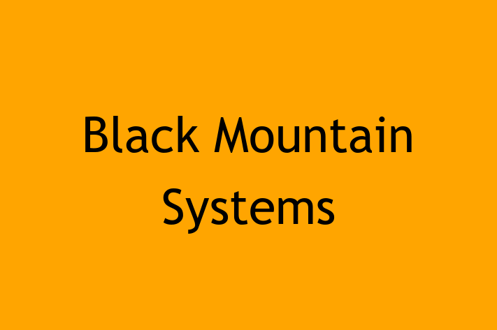 IT Company Black Mountain Systems