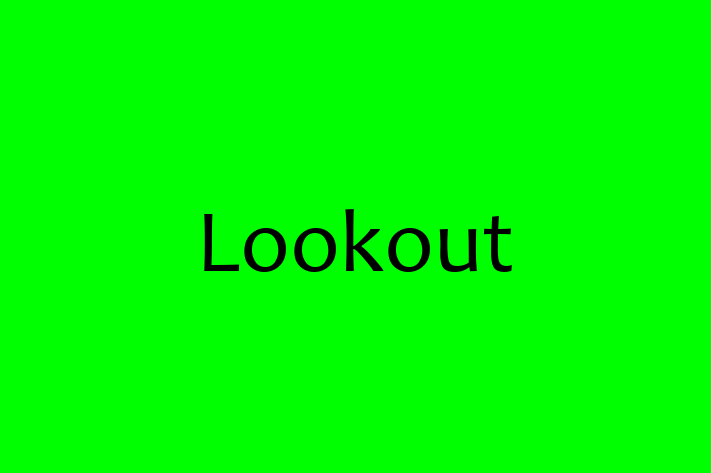 Technology Company Lookout