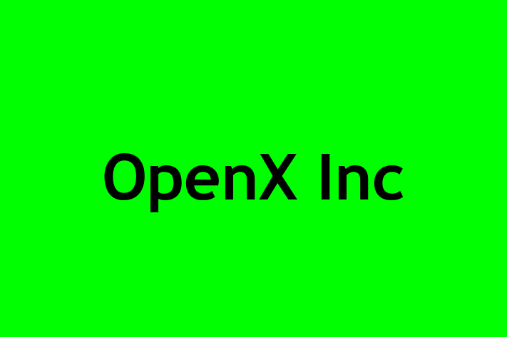 Software Firm OpenX Inc